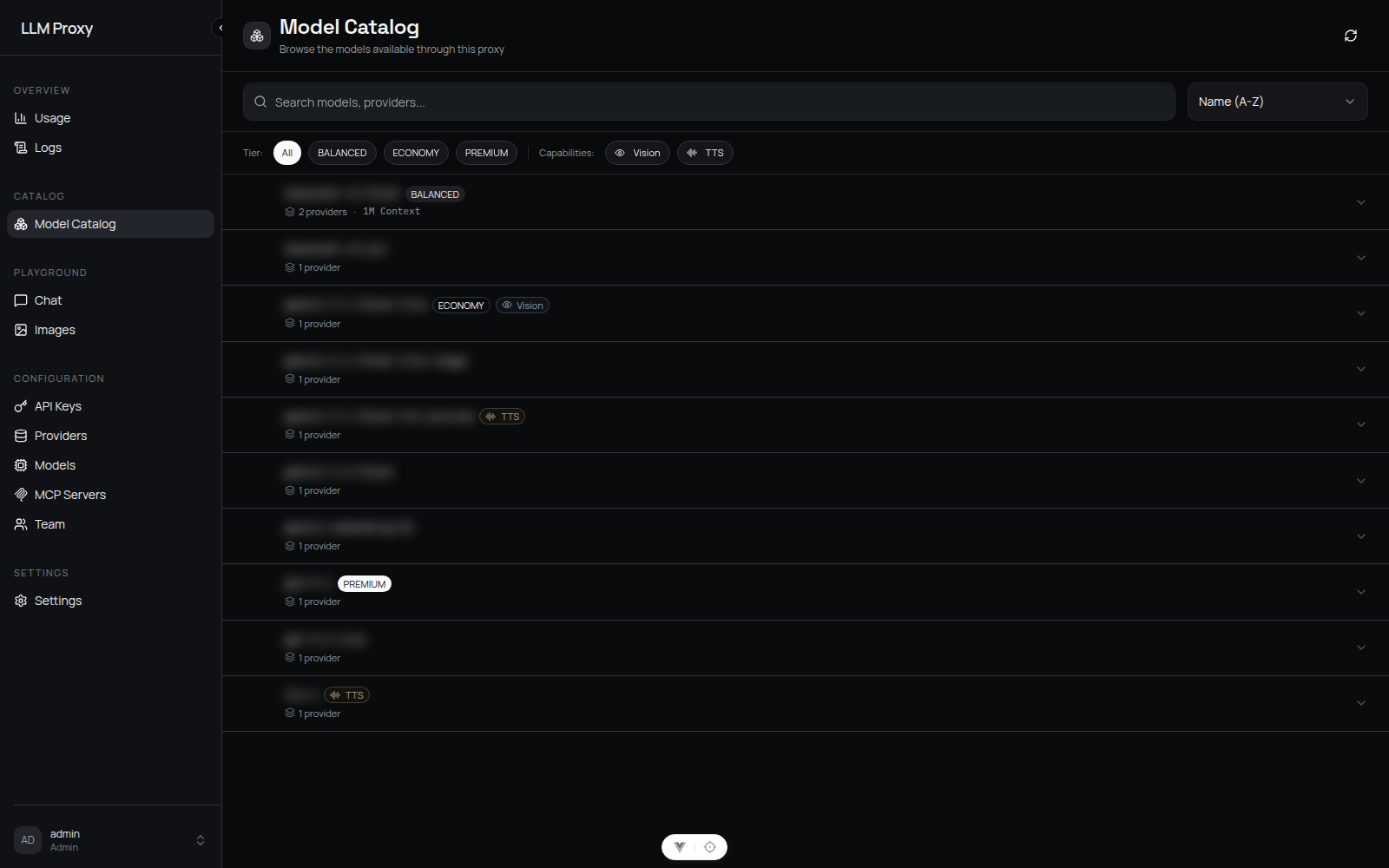 Model catalog for a viewer account